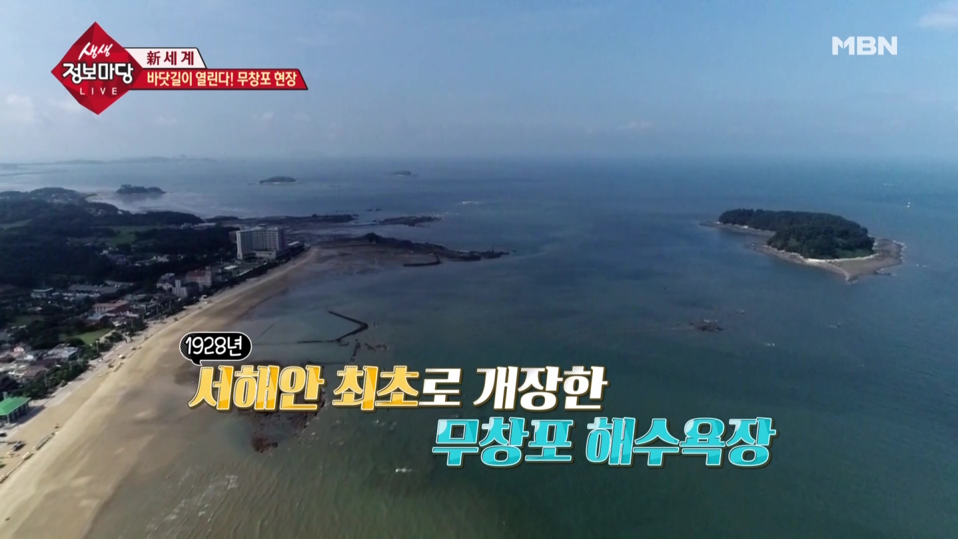 [0829 MBN 생생정보마당] 무창포 신비의 바닷길 축제 수산물(대하,전어) 무창포타워